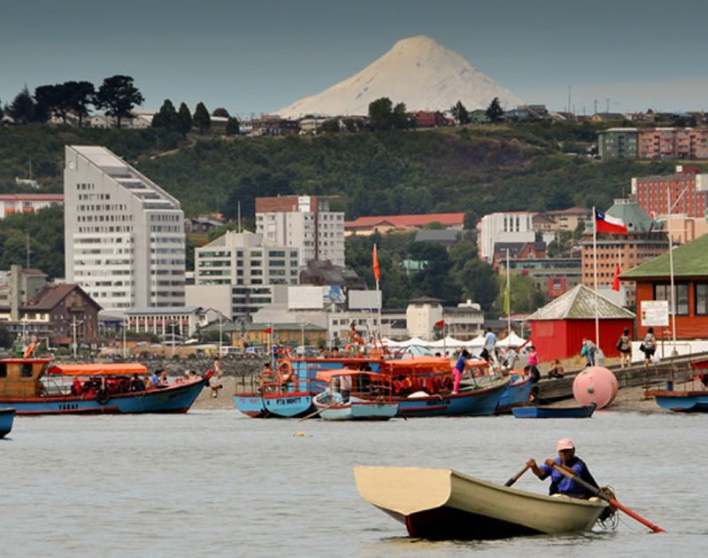 One Month Homestay Recovery Program in Chile