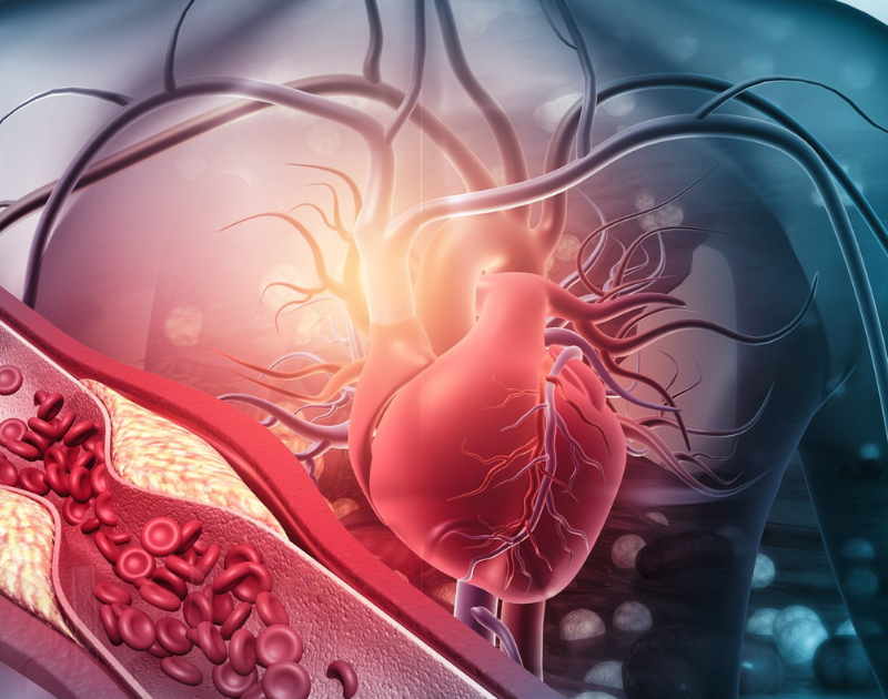 15-Day Medical Homestay Program – Cardiovascular Care (Hemodynamics Unit), Santiago, Chile