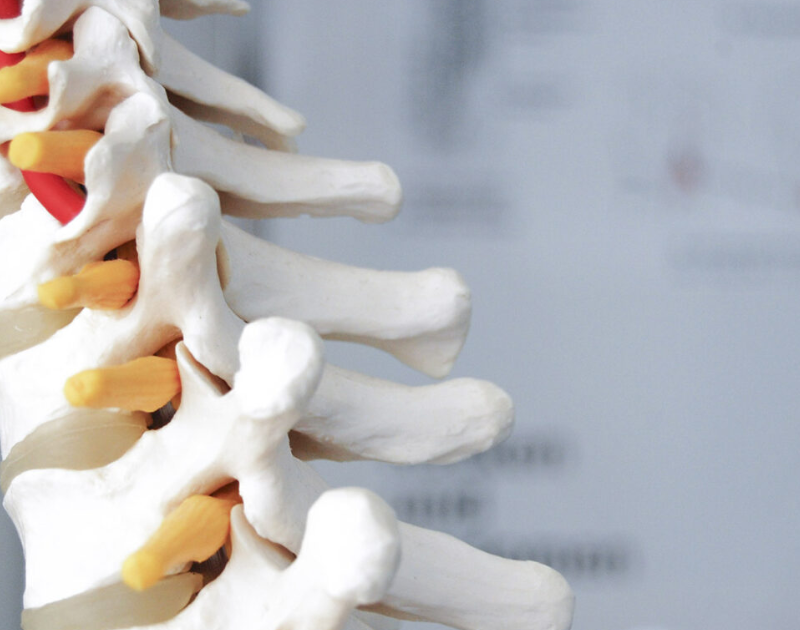 15-Day Medical Homestay Program – Spine Center, Santiago, Chile